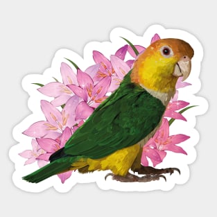 caique Sticker